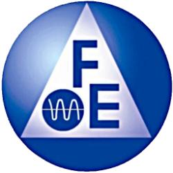 FEIM Logo