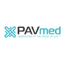 PAVM Logo